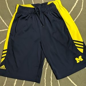 Adidas Michigan Shorts
